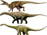 Novi dinosaurusi u Australiji