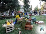 3. Beogradski festival cveća