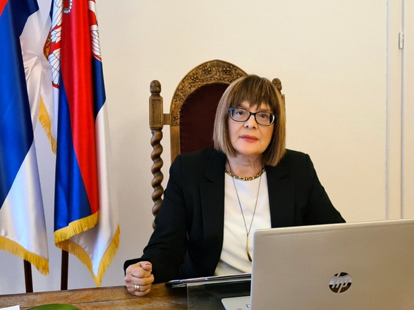 Maja Gojković za regionalni pristup prevazilaženju posledica korone u kulturi